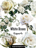 White Roses Clipart Set | Watercolor Flower clip art, Floral png, Love PNG Bundle, Romance clip art, wedding anniversary Rose Valentines Day Love Romance Flower