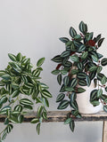 18" Faux Tradescantia Zebrina, Artificial Spring Summer Hanging Plant, DIY Floral Decors/Wall/Home/Kitchen Decorations, Gifts For Her faux plants