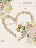 Watercolor Hydrangea, Watercolor Hydrangea Clipart, Love and Romance Flowers, Wild Flowers, Watercolor Valentine Clipart, Valentine Heart Love Romance Flower