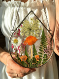 Stained Glass Herbarium: Pressed Wildflower & Mushroom Art ANNIVERSARY