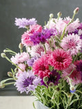 100+ seeds - Tall Mixed BachelorÕs Button Seeds ÔCentaurea cyanusÕ Annual Cornflower Cut Flowers Dried Flowers Bouquet seeds bulk