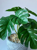 Mini Monstera Bunch with or without fern pot faux plants