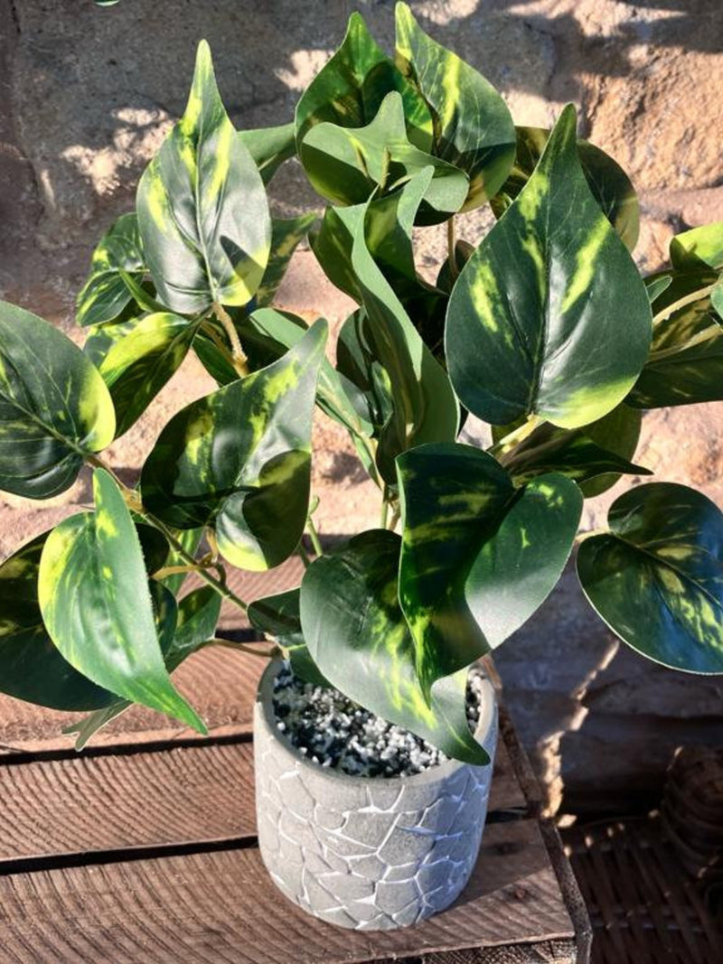 Philodendron Leaf Large Bunch With or Without Pot faux plants