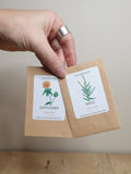 Dyer's garden seeds - Japanese Indigo, Woad, Coreopsis, Weld, Safflower, Marigold. flower seeds