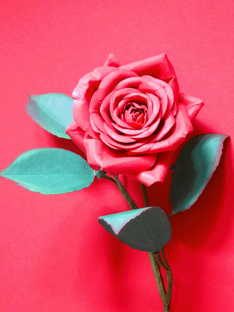 Valentine Rose Paper Flower Templates: DIY SVG, Studio, Scan&Cut (Instant Download) Love Romance Flower