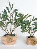 Artificial Olive Tree in Handmade Wood Pot -  Small Faux Olive Tree Fruitless - High Quality Silk Plant faux plants