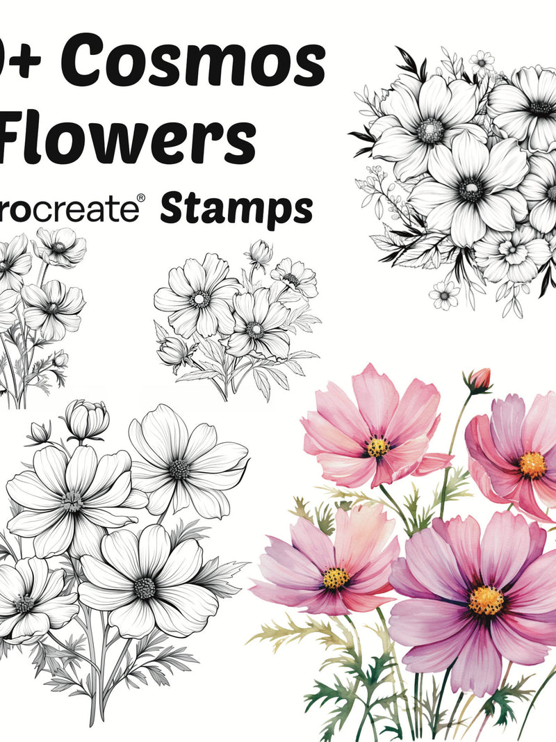 Procreate Cosmos Flower Stamps | 50+ Cosmos Flower Procreate Brushes | Botanical Procreate | Floral Procreate | Nature Procreate Brushes flower spore