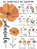 Birthday flower SVG PNG bundle Retro Birthday Svg files Vintage Birth month flowers svg Cricut Wild flowers Cut File Customize With Names birthday flower