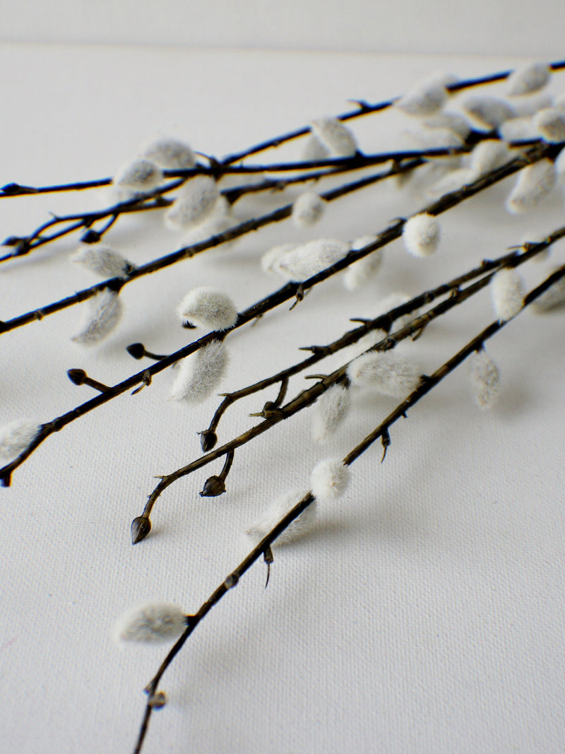 Artificial Pussy Willow Bundle Faux Pussy Willow, Velvety Stem, Greenery, Floral stems, Flower Bunch, Home Accents, Center Piece, DIY Wreath FLOWER DELIVERY