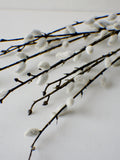Artificial Pussy Willow Bundle Faux Pussy Willow, Velvety Stem, Greenery, Floral stems, Flower Bunch, Home Accents, Center Piece, DIY Wreath FLOWER DELIVERY