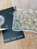 Dandelion fluff seeds bulk, tiny dried flowers for resin, make a wish, botanical crafts, nature jewelry diy, terrarium jewelry, wish jewelry seeds bulk