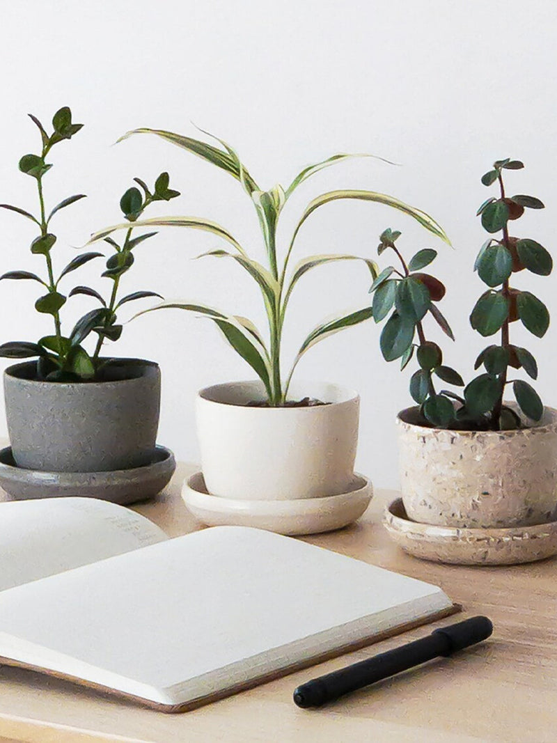 Modern Mini Planter | Miniature Plant Pot | Indoor Succulent Planter Pot | Modern Cactus Planter | Recycled Planter Pot with Saucer faux plants