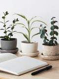 Modern Mini Planter | Miniature Plant Pot | Indoor Succulent Planter Pot | Modern Cactus Planter | Recycled Planter Pot with Saucer faux plants