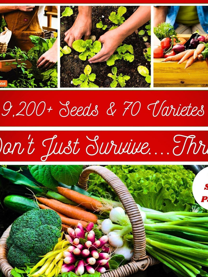 9,200+ Vegetable, Fruits and Herb Variety Seeds - Survival Seed Kit- 40 Packs & 70 Varieties -All Heirloom seeds bulk
