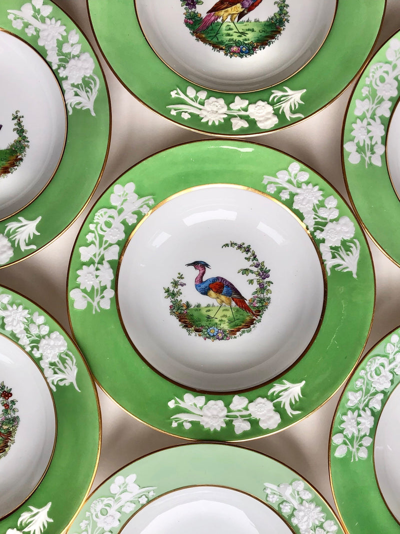 Spode Exotic Bird / Peacock / Pheasant rim soup bowl. Rare collectible Spode flower spore