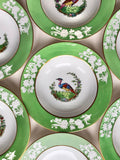 Spode Exotic Bird / Peacock / Pheasant rim soup bowl. Rare collectible Spode flower spore