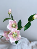 Faux Helleborus Stem -  Artificial Flower / DIY Floral / Wedding / Home Decoration / Gifts / Light Pink FLOWER DELIVERY