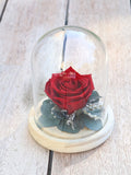 Glass bell JOUR DE FETE original hand made Flower gift, Preserved flowers eco-responsible home decoration, eternal rose glass bell FLOWER DELIVERY