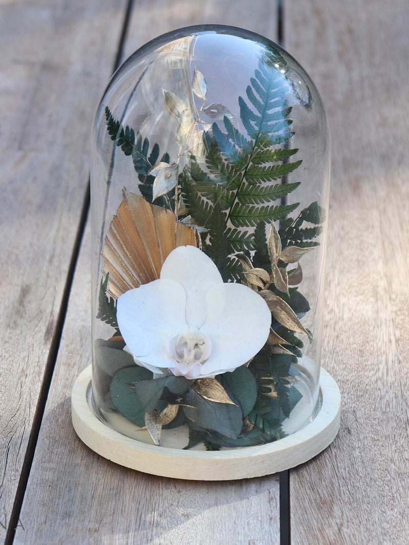 Bell eternal flower TROPICAL CHIC white orchid and greenery decoration exotic style, eco-responsible gift for home FLOWER DELIVERY