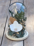 Bell eternal flower TROPICAL CHIC white orchid and greenery decoration exotic style, eco-responsible gift for home FLOWER DELIVERY