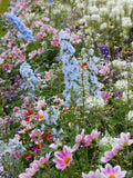 100+seeds attract honeybee and butterfly flower mix seeds bulk