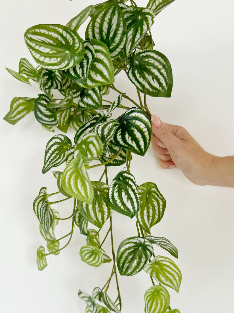 Watermelon Hanging Bush 16" - High Quality Artificial Hanging Plant - Faux Watermelon, Peperomia Plant faux plants