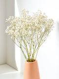 Baby's Breath Stems - Preserved Floral Bouquet Home Decor & Weddings FLOWER DELIVERY