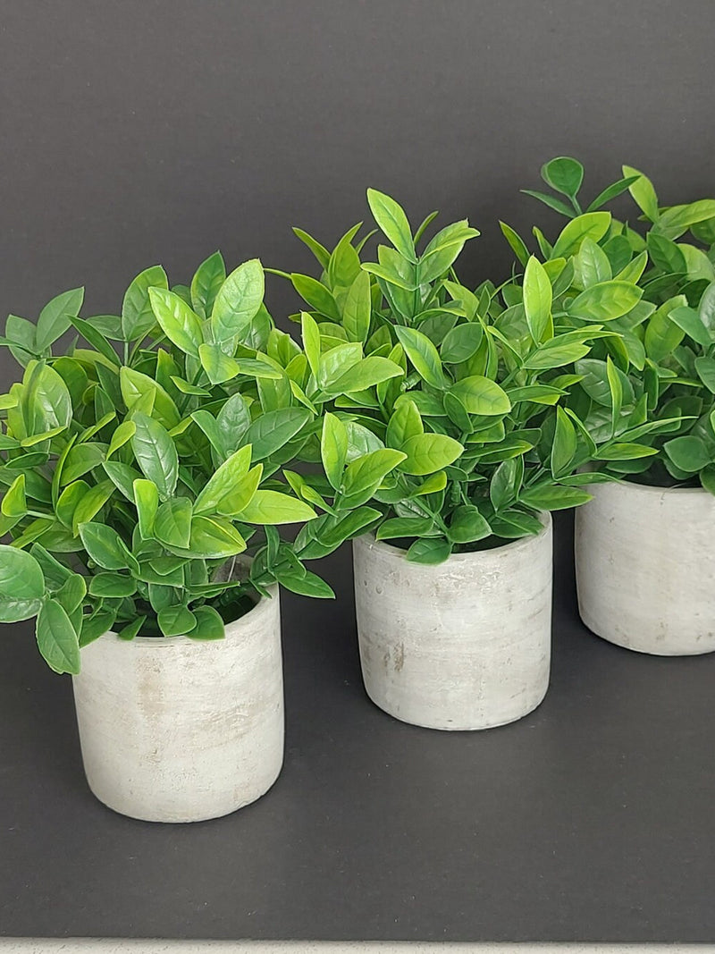 Set Of 3 Artificial Plants With Planters faux plants