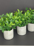 Set Of 3 Artificial Plants With Planters faux plants