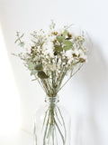 Eucalyptus & BabyÕs Breath Dried Flower Bouquet Ð Small: Home Decor + Wedding Centrepieces wedding flower