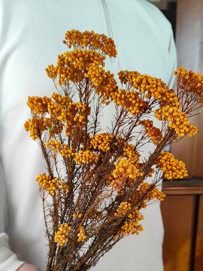 Dried rice flower bouquet with orange-gold globe blooms on thin stems