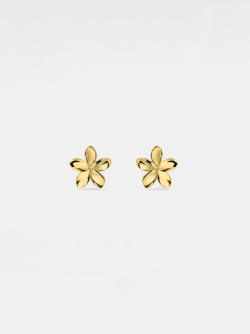 PERIMADE Dainty Flower Stud Earrings ¥ Tiny Gold Flower Stud Earrings ¥ Sterling Silver Friendship Jewelry ¥ Trendy Best Friend Gift birthday flower