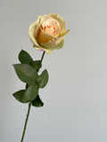 Cream silk rose flower with green leaves on a single stem
