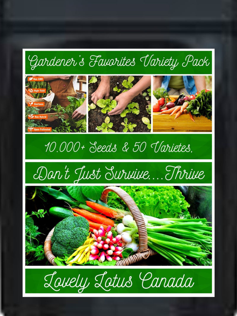 Vegetable Seeds 10,000+ Vegetable, Fruit, Herbs & Flower Seed Kit- 25 Packs 50+ Varieties + 2 Bonus Packs 500+ Herb Blend 25+ Morning Glory seeds bulk