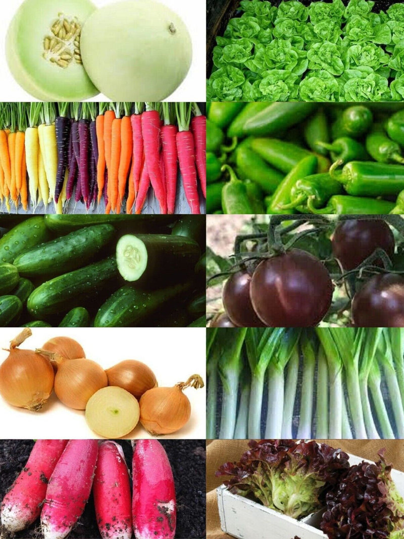 1000+ Heirloom Vegetable Seeds - 10 Variety Garden Pack #4- Organic - (Non-GMO) All Canadian Heirloom Seeds seeds bulk