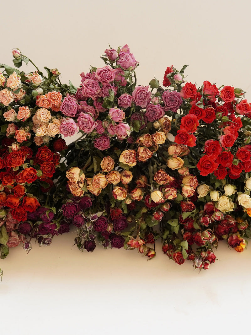 9 Colors Dried rose boundle Dry roses rose dried flowers wedding home decoration wedding floral art-wholesale FLOWER DELIVERY