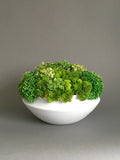 Faux succulent round planter; Mini succulent garden faux plants