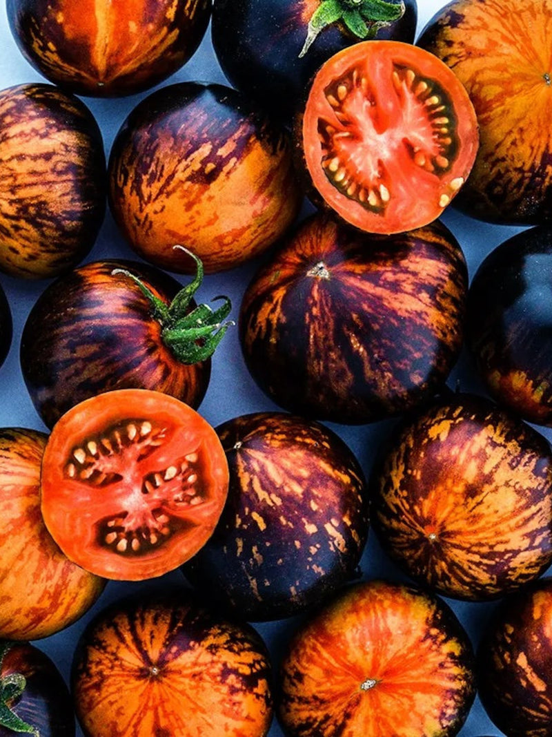 Queen of the Night - Heirloom Tomato Seeds organic (pack 15 seeds) seeds bulk