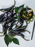 Murasaki Purple Sweet Pepper - Heirloom Seeds organic (pack 15 seeds) seeds bulk
