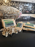 Moringa / mulungai  seeds for planting seeds bulk