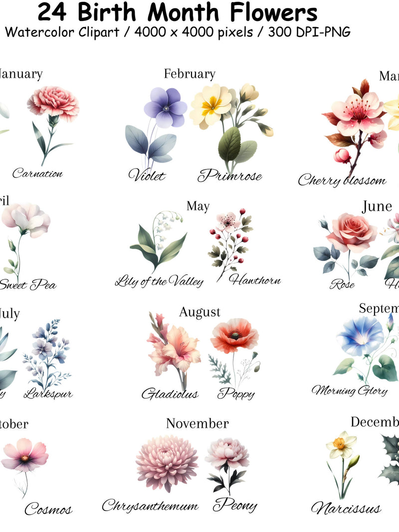 24 Birth Month Flowers Watercolor Clipart Bundle, Mother's Day Gift, Floral PNG, Birth Month Flower Kit Clipart, Bundle for Birthdays birthday flower