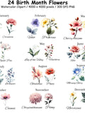 24 Birth Month Flowers Watercolor Clipart Bundle, Mother's Day Gift, Floral PNG, Birth Month Flower Kit Clipart, Bundle for Birthdays birthday flower