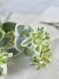 Artificial Snow on the Mountain Greenery Leaves - Plant / Wedding / Bouquet / DIY Floral / Arrangement / Home Decoration / Decor / Gifts faux plants
