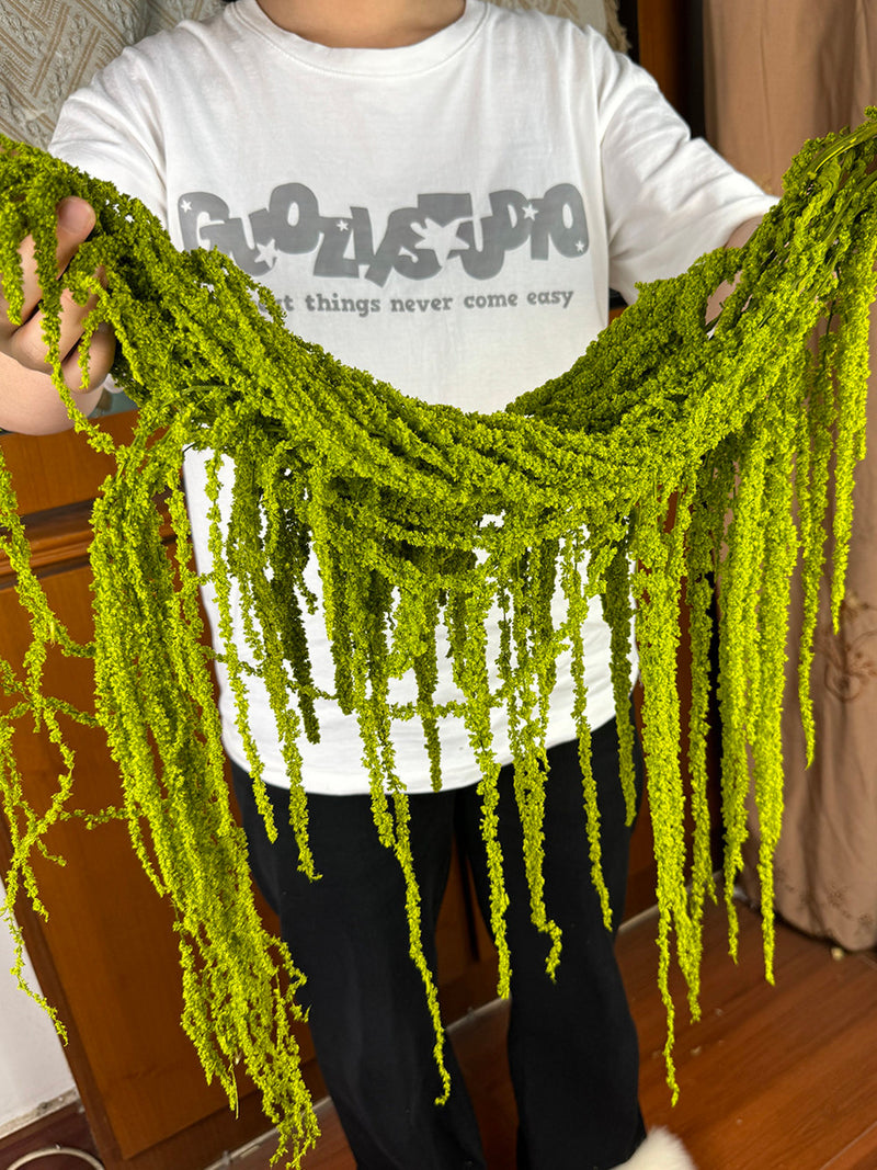5 pcs green Hanging Amaranthus flower_preserved Amaranthus bunch_dried flower art_hanging flower decor_wedding arch decor_background decor FLOWER DELIVERY