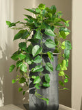 Fake Epipremnum Aureum Wall Hanging with Pot, Faux Pothos Wall Decor, Trails Leaf Vine Plant Craft, Artificial Greenery, Home Greenery Decor faux plants