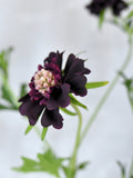 Faux Burgundy Red Scabiosa Stem - Artificial Flower / DIY Floral / Wedding / Bouquet / Centerpieces / Arrangement / Home Decor / Gifts / DIY faux plants