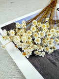 50/100 sticks dried Star Flower blossom_natural ini daisy flower_dry flowers arrangement_DIY flower materials_home/wedding decor_vase filler FLOWER DELIVERY
