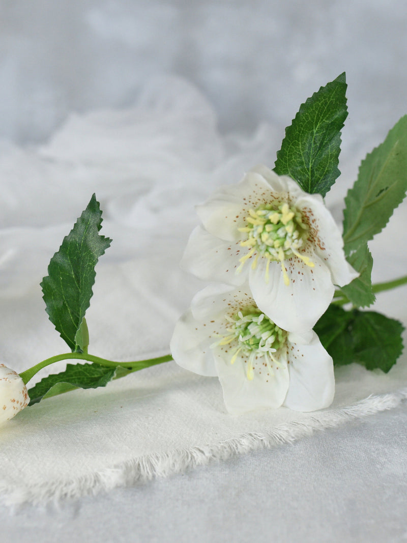 Faux White Helleborus Stem -  High Quality Artificial Flower / DIY Floral / Wedding / Bouquet / Home Decoration / Gifts / Arrangement / DIY FLOWER DELIVERY