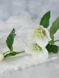 Faux White Helleborus Stem -  High Quality Artificial Flower / DIY Floral / Wedding / Bouquet / Home Decoration / Gifts / Arrangement / DIY FLOWER DELIVERY