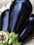 Bulk Black Beauty Eggplant Seeds, Solanum Melongena SM011C seeds bulk